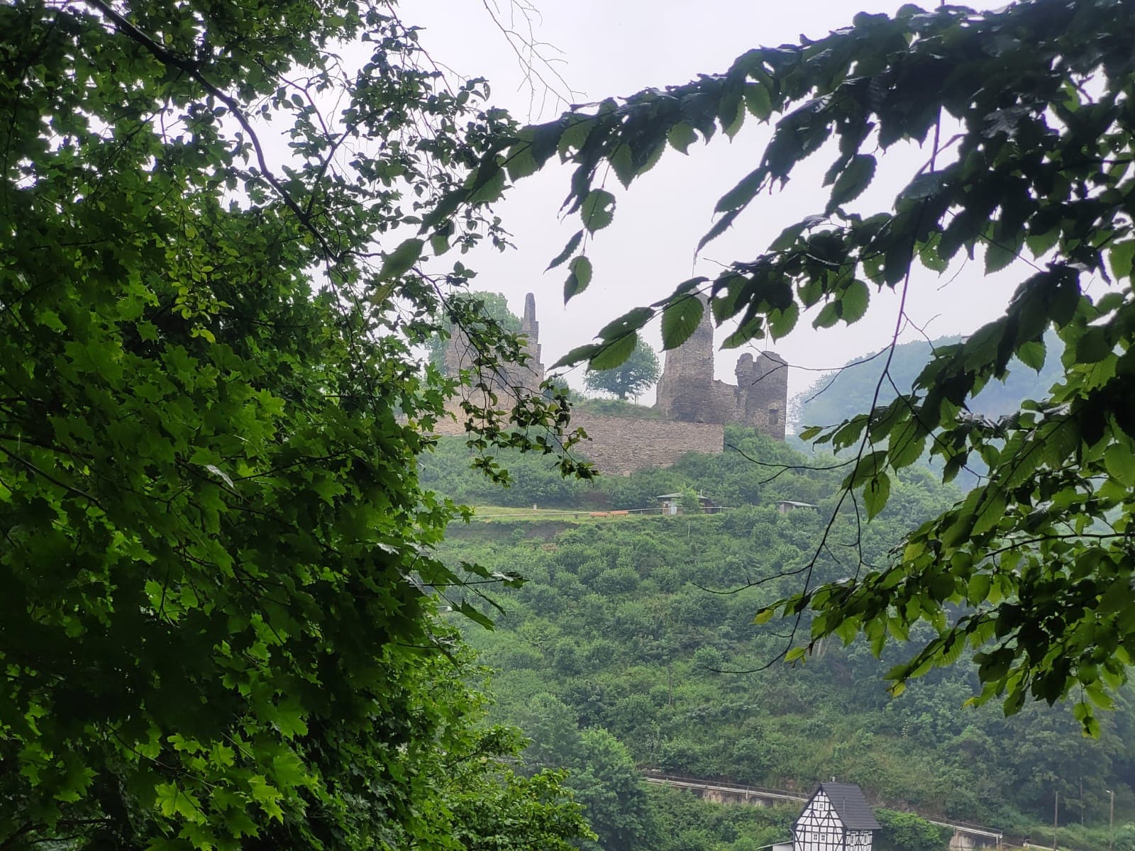 Banner Rheinland-Pfalz